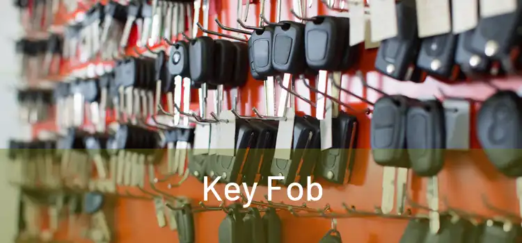  Key Fob 