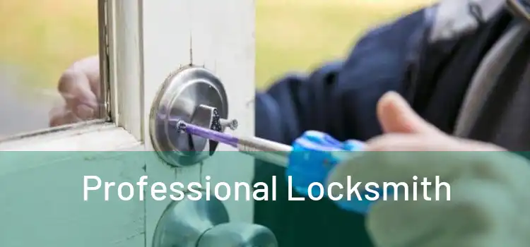  Professional Locksmith 